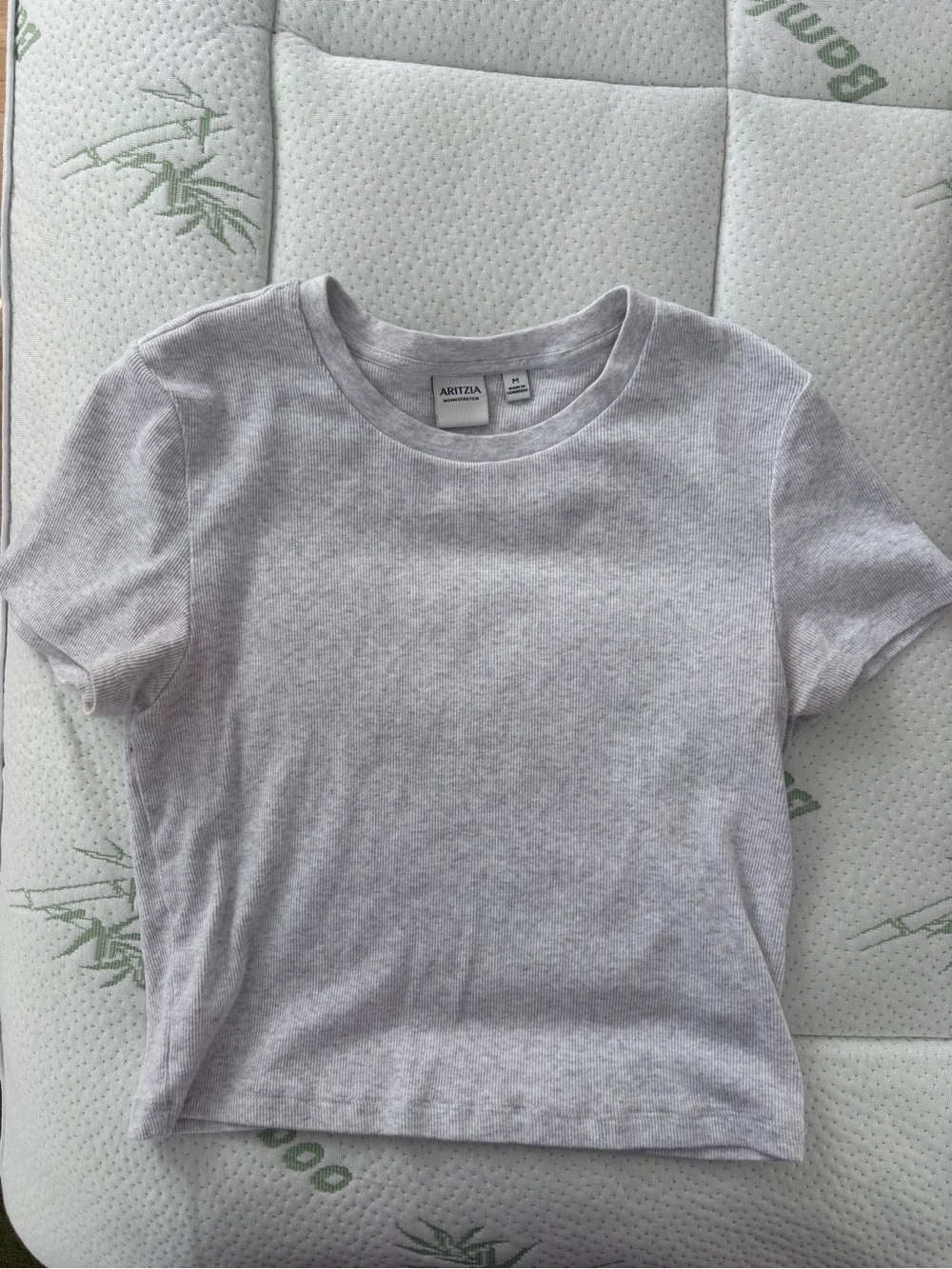 Aritzia Little Ribbed Tee - Picture 2 of 3
